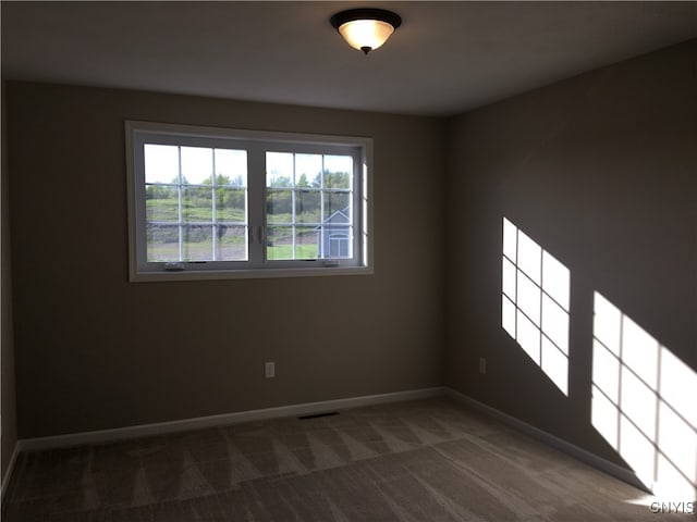 empty room featuring carpet flooring