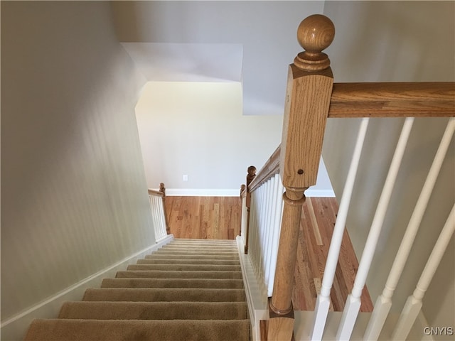 stairway with hardwood / wood-style floors