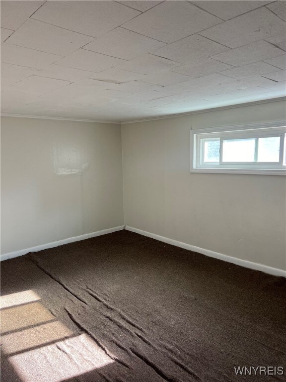 spare room featuring carpet