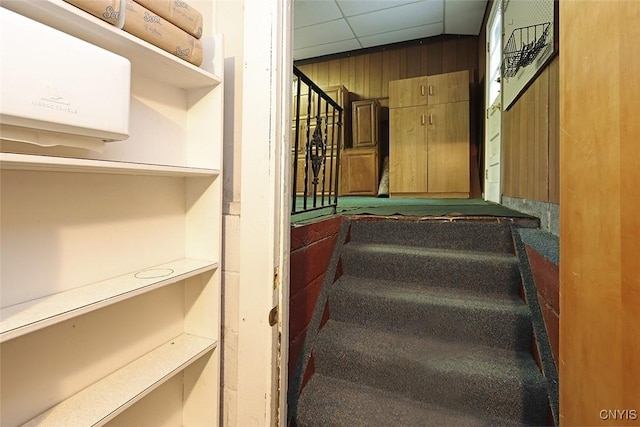 staircase featuring wooden walls