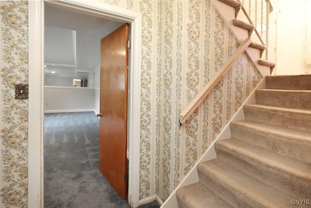 staircase with carpet flooring