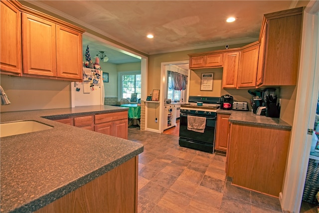 kitchen featuring black range, ornamental molding, and sink