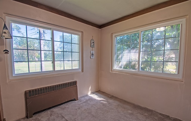 unfurnished room featuring radiator, light carpet, and a healthy amount of sunlight