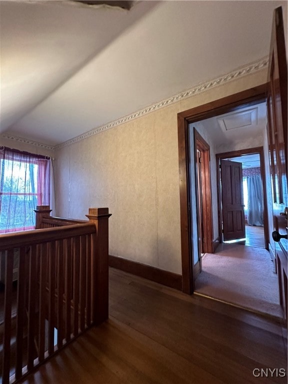 hall featuring lofted ceiling and dark hardwood / wood-style floors