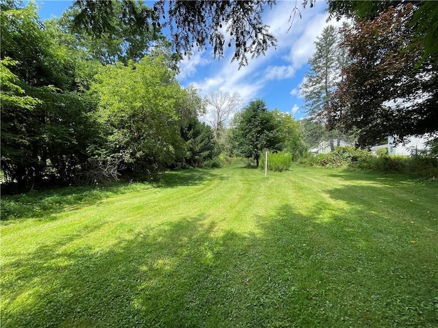 17 Waymer Rd, Portville, NY 14770 - photo 2