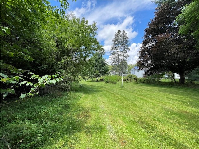 17 Waymer Rd, Portville, NY 14770 - photo 3