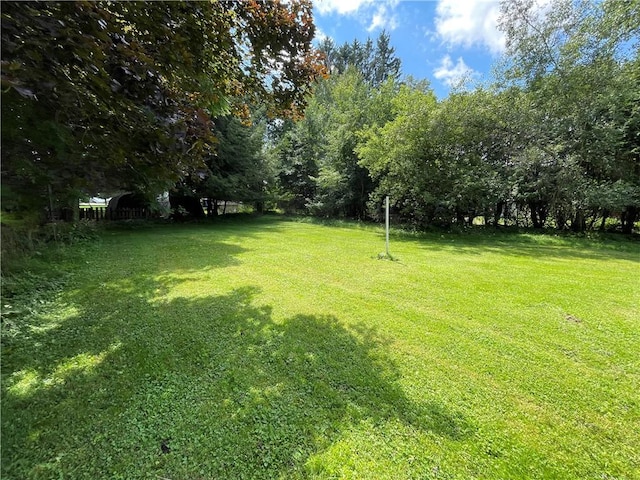 17 Waymer Rd, Portville, NY 14770 - photo 4