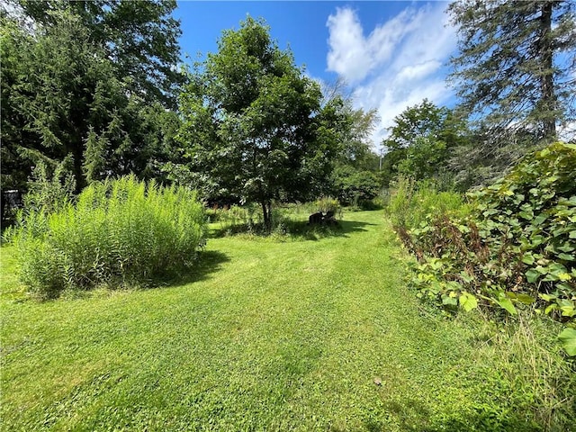17 Waymer Rd, Portville, NY 14770 - photo 5