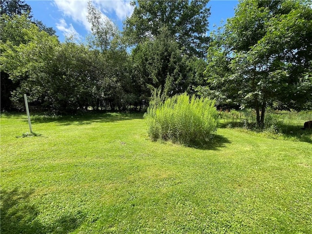 17 Waymer Rd, Portville, NY 14770 - photo 6