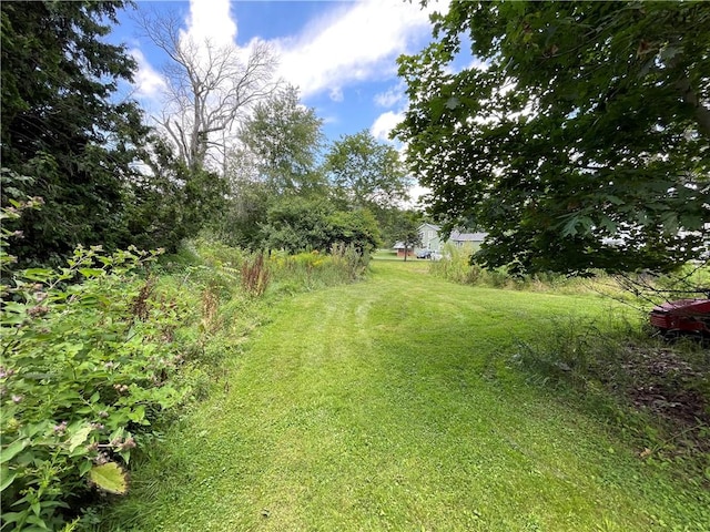 17 Waymer Rd, Portville, NY 14770 - photo 7