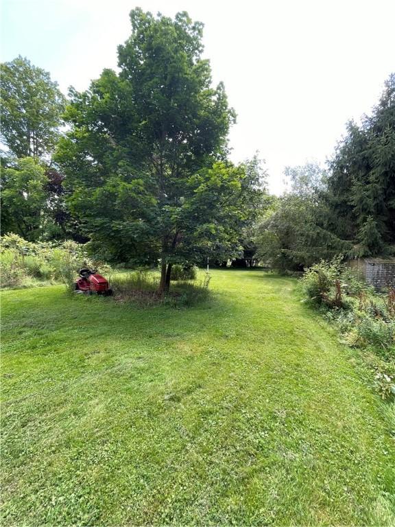 17 Waymer Rd, Portville, NY 14770 - photo 9