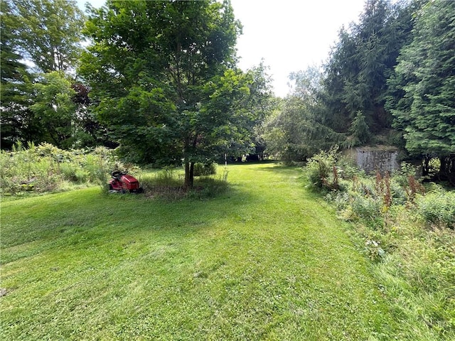 17 Waymer Rd, Portville, NY 14770 - photo 10