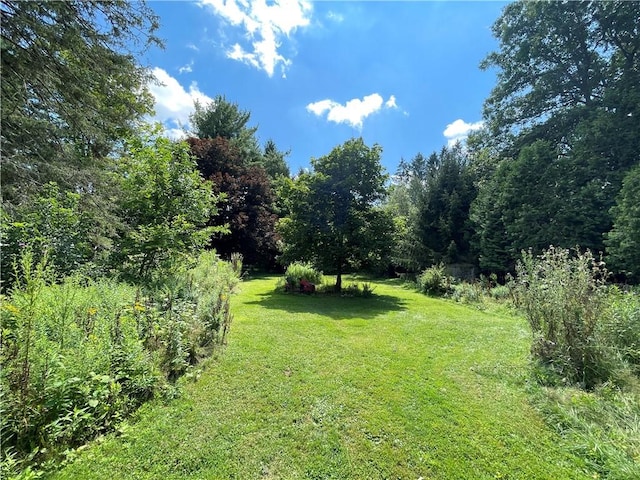 17 Waymer Rd, Portville, NY 14770 - photo 11