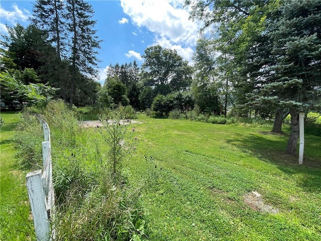 17 Waymer Rd, Portville, NY 14770 - photo 14