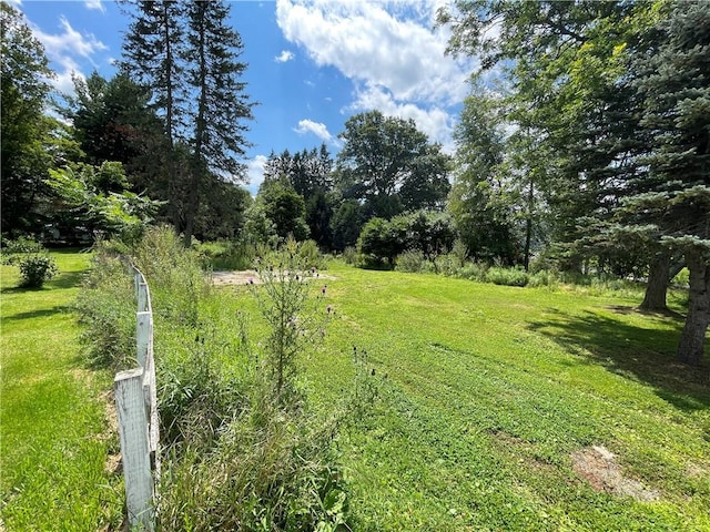 17 Waymer Rd, Portville, NY 14770 - photo 15