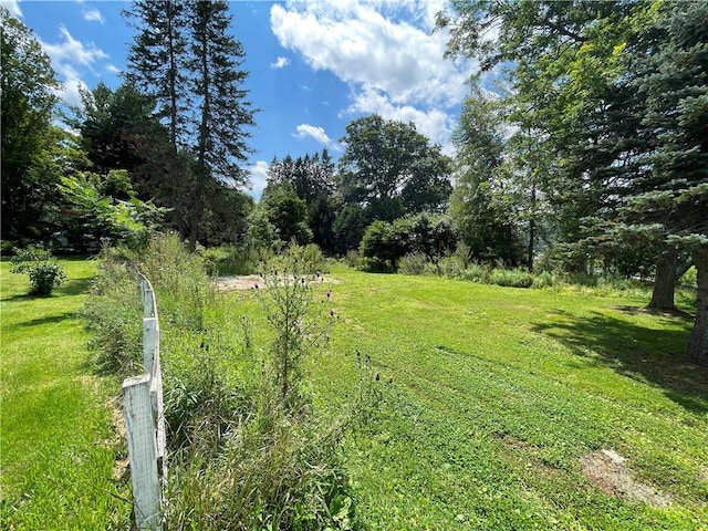 17 Waymer Rd, Portville, NY 14770 - photo 16