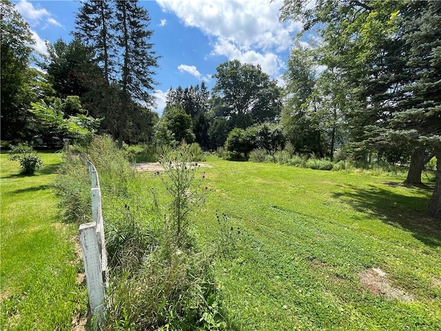 17 Waymer Rd, Portville, NY 14770 - photo 17