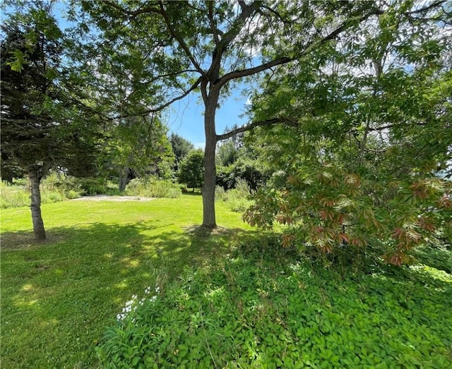 17 Waymer Rd, Portville, NY 14770 - photo 18