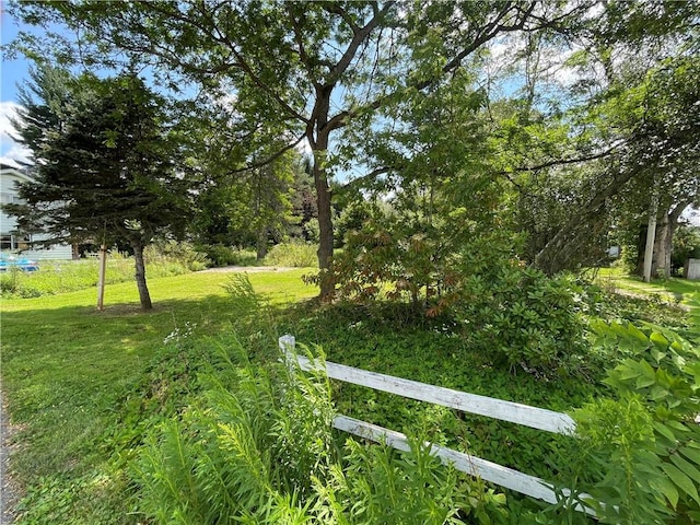 17 Waymer Rd, Portville, NY 14770 - photo 19