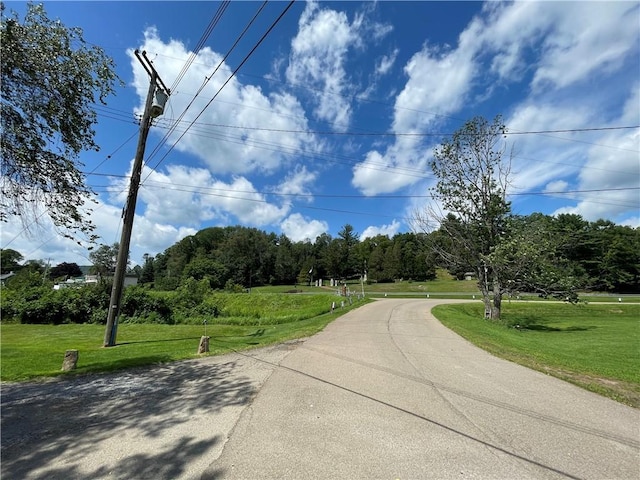 17 Waymer Rd, Portville, NY 14770 - photo 20