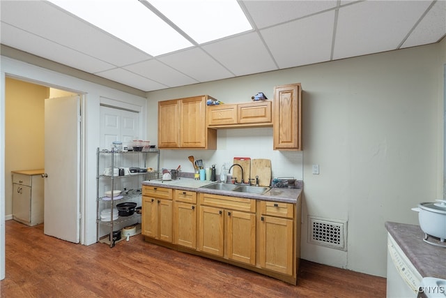 kitchen featuring sink, dark wood-type flooring, and a paneled ceiling