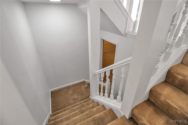 stairway with carpet flooring