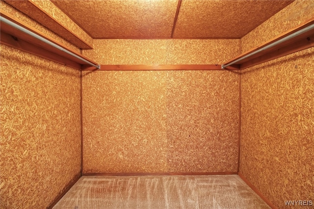 spacious closet featuring carpet