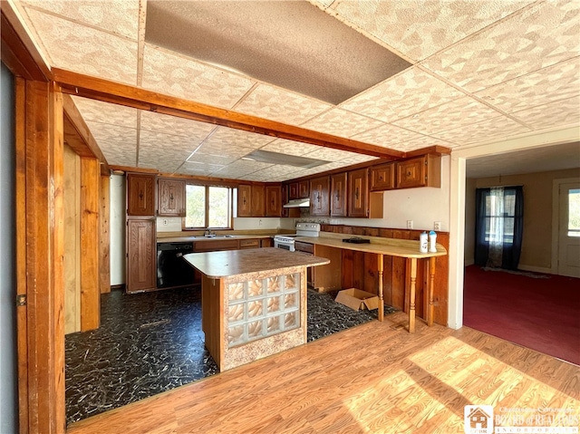 kitchen featuring black dishwasher, sink, electric range, kitchen peninsula, and dark wood-type flooring