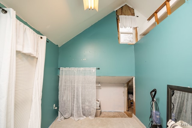 bathroom featuring lofted ceiling