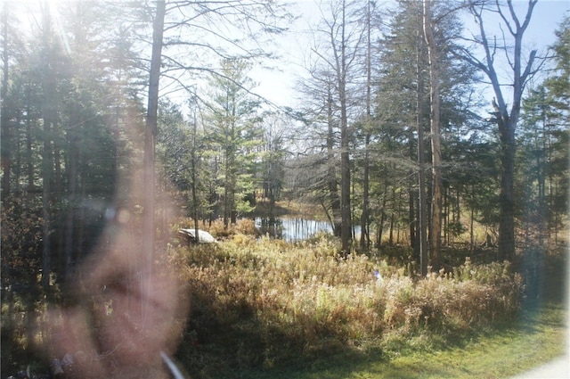 view of landscape featuring a water view