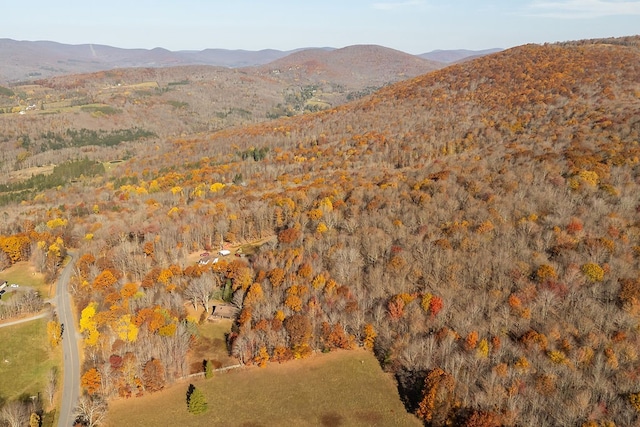 view of mountain feature