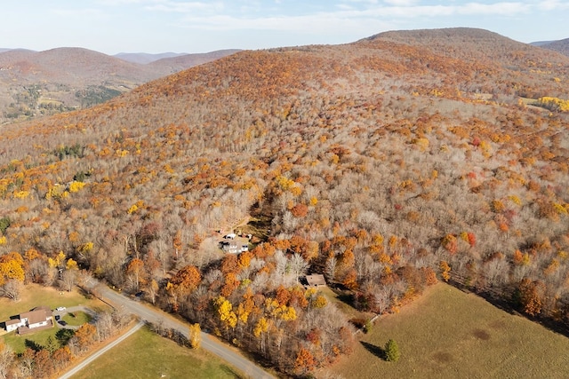 view of mountain feature