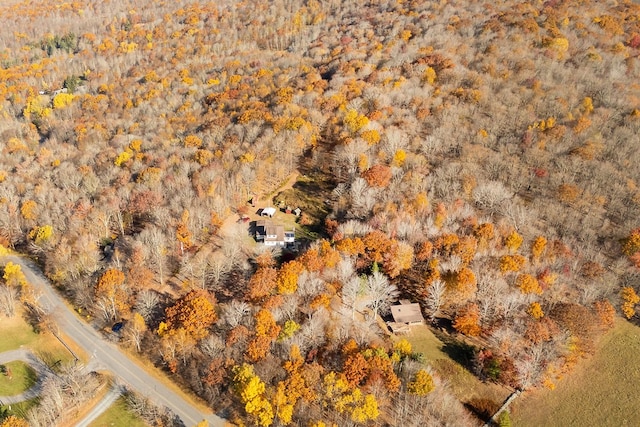 bird's eye view