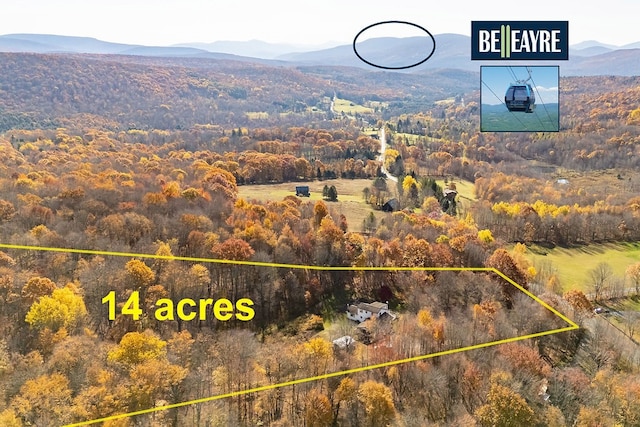 aerial view with a mountain view