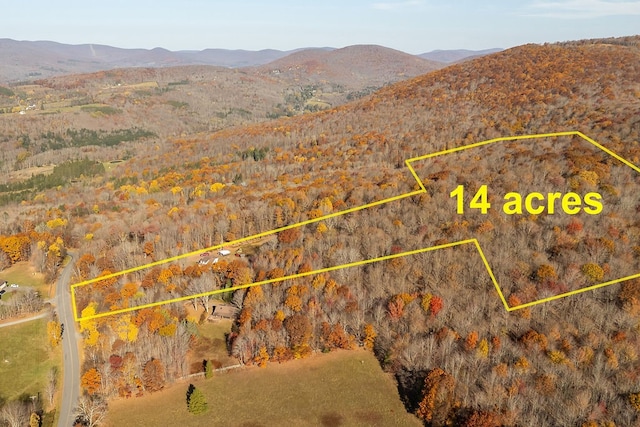 birds eye view of property with a mountain view