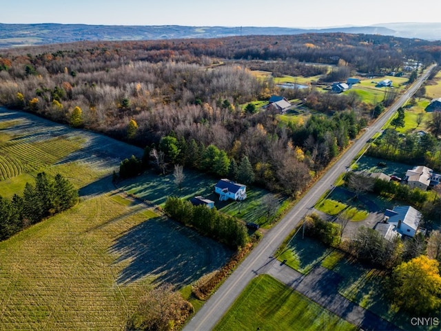 birds eye view of property featuring a rural view