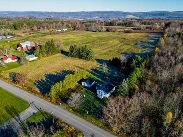 birds eye view of property featuring a rural view