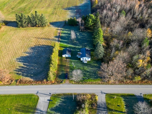 aerial view with a rural view