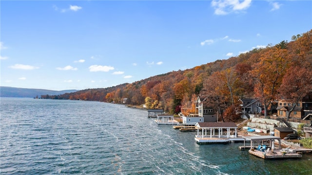 view of water feature with a mountain view and a dock