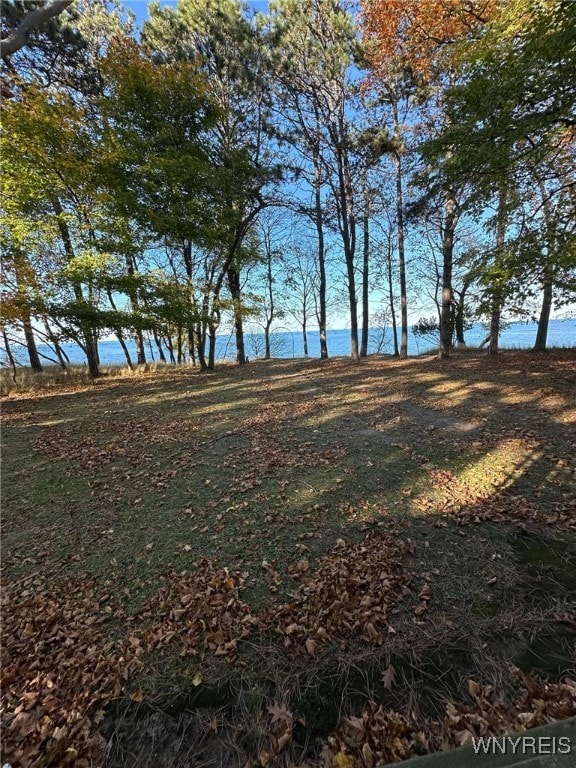 view of local wilderness with a water view