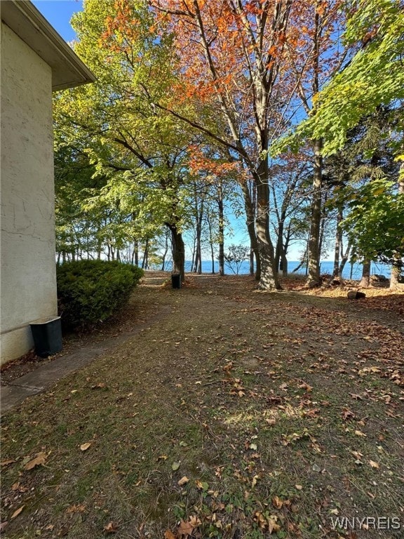 view of yard with a water view