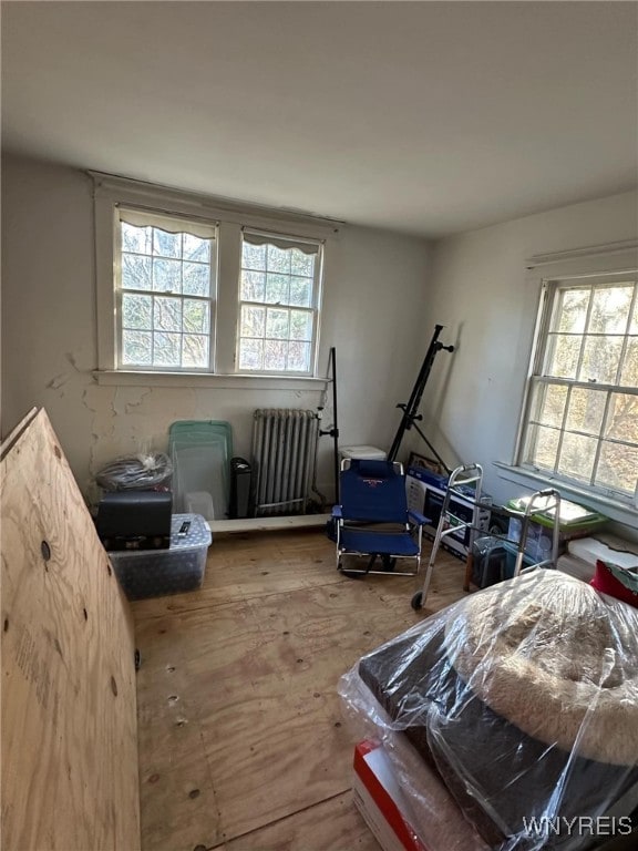 miscellaneous room featuring plenty of natural light and radiator heating unit