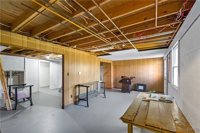 basement featuring wood walls