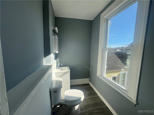 bathroom with toilet, a healthy amount of sunlight, sink, and wood-type flooring