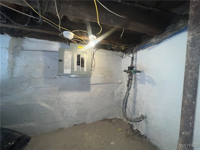 basement with electric panel