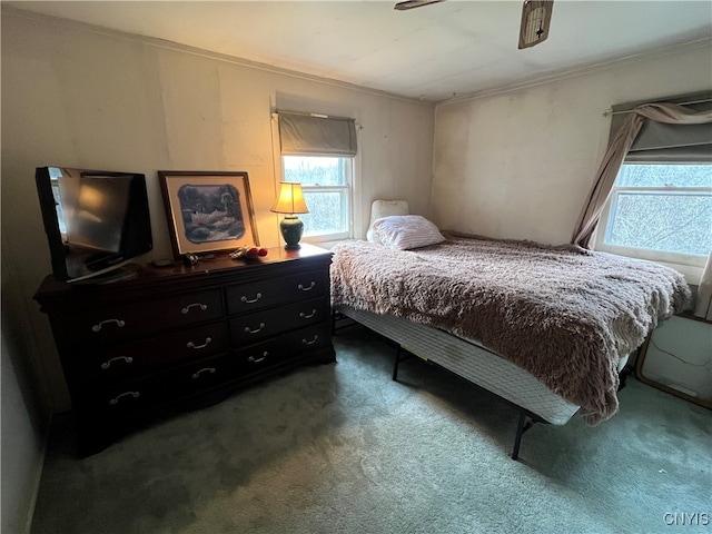 bedroom with ceiling fan, crown molding, and carpet