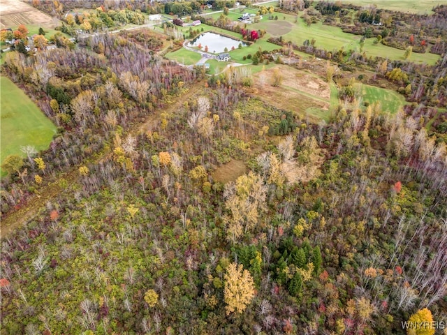 drone / aerial view with a rural view