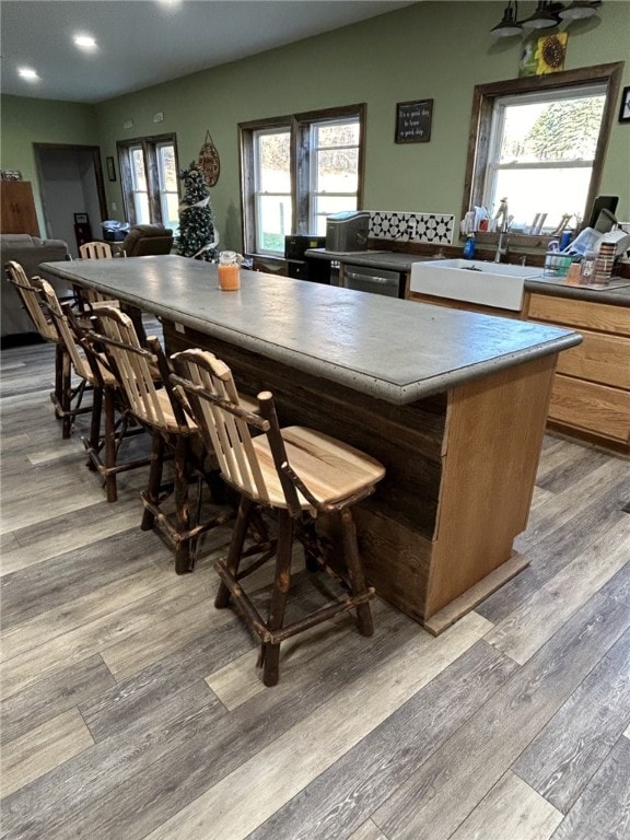 kitchen with dishwasher, plenty of natural light, sink, and light hardwood / wood-style flooring