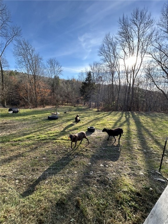 view of yard with a rural view