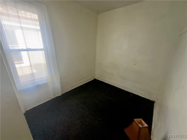 spare room with carpet